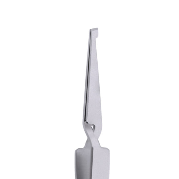 Whiteroot Bracket Placing Tweezer / Bracket Holder